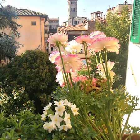 Bed And Breakfast Evelina Lucca Kültér fotó