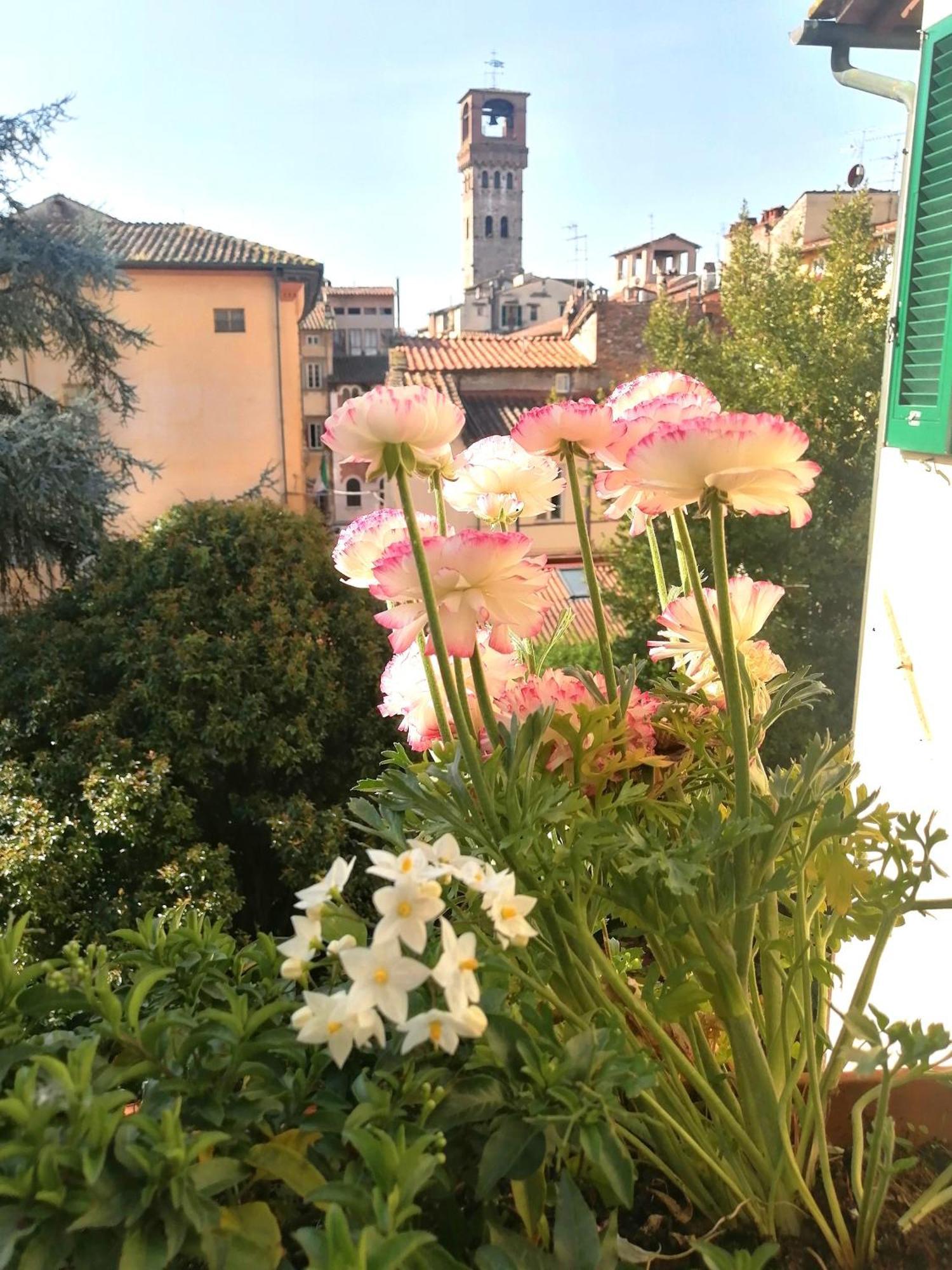 Bed And Breakfast Evelina Lucca Kültér fotó